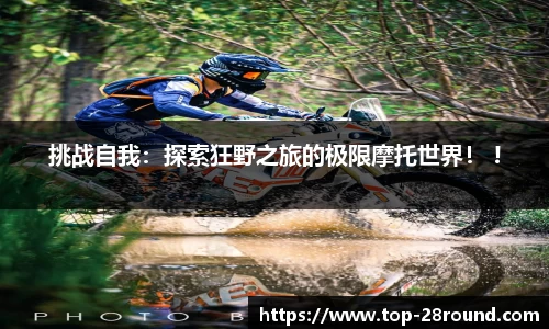 28圈官方网站