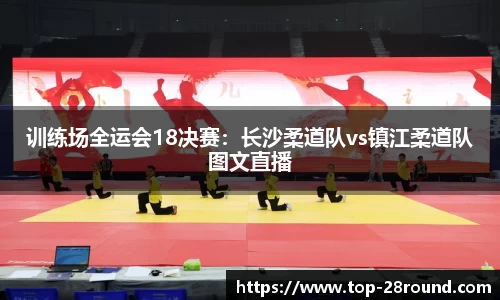 28圈平台