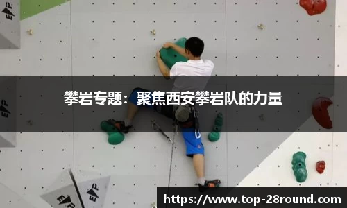 28圈官网